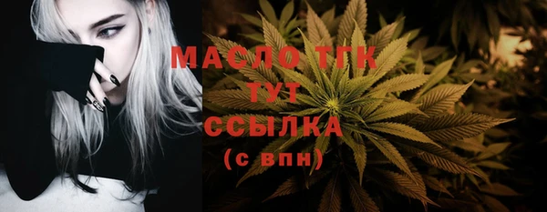 индика Новокубанск