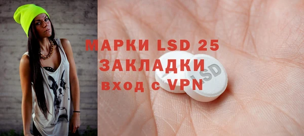 индика Новокубанск