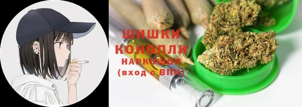 индика Новокубанск