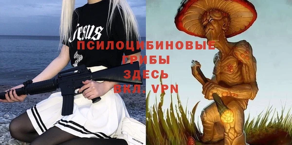 дурь Новозыбков