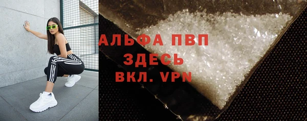 индика Новокубанск