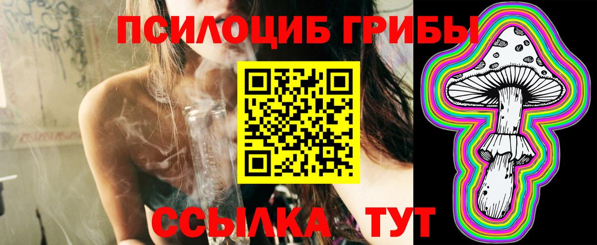 где можно купить наркотик  Шуя  Псилоцибиновые грибы ЛСД 