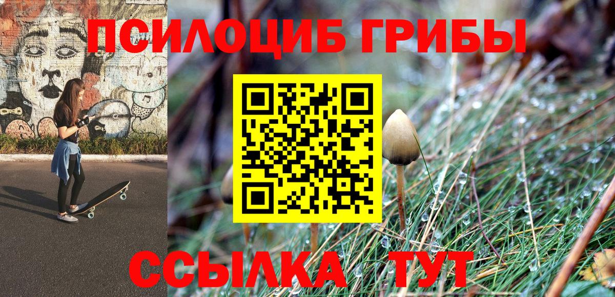 Галлюциногенные грибы Psilocybine cubensis  Вход с VPN  Шуя 